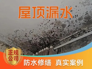 阳台渗水维修之阳台墙体圈梁缝隙渗水封堵推荐个靠谱的商家，推荐一根钉修缮